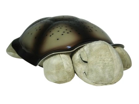 Cloud B Twilight Turtle Night Light Mocha Online Hot Sale