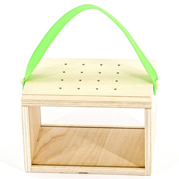 MaMaMeMo Insect House Online now