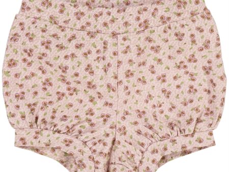 Wheat Flower Issa Shorts on Sale