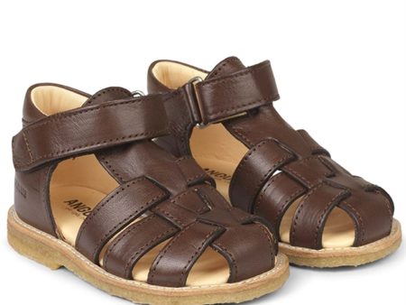 Angulus Starter Sandal w. Velcro Dark Brown Discount